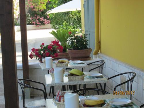 Фотография гостиницы Hotel Tropical