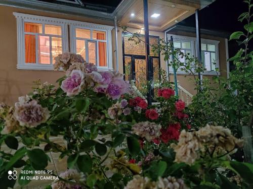 Фотография гостевого дома Qebelede kiraye villa