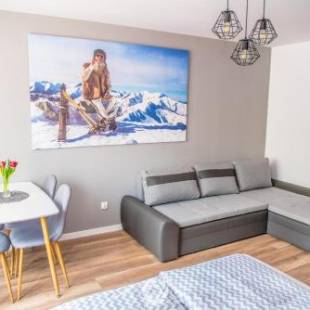 Фотографии хостела
Hostel 1902