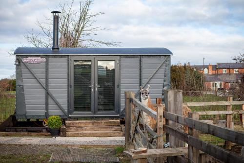 Фотография базы отдыха Skipbridge Farm Glamping
