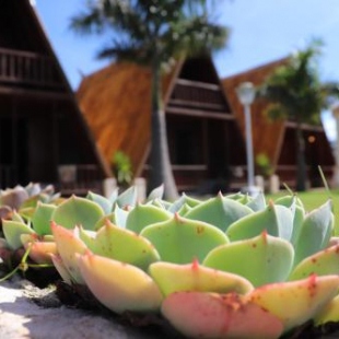 Фотография мини отеля Pousada Viva - São Thomé das Letras