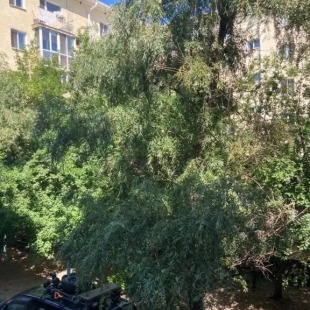 Фотография квартиры Апартаменты на улице Полковая