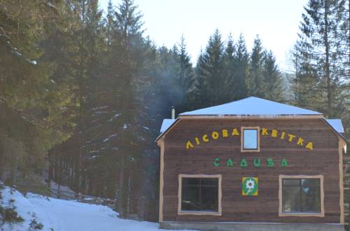 Фотография мини отеля Лесной цветок