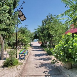 Фотография гостиницы Солнечный берег