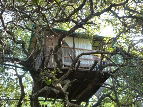 Фотография гостиницы Khaama Kethna Eco Sustainable Village