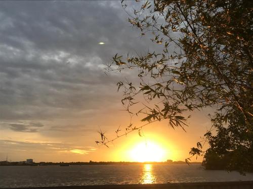 Фотография гостиницы Binh Minh Eco Lodge