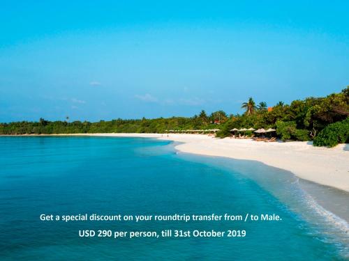 Фотография гостиницы The Barefoot Eco Hotel