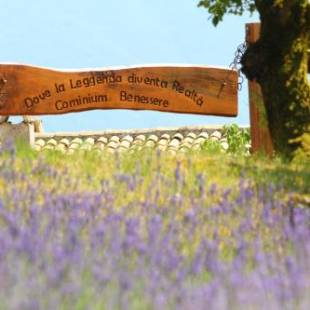 Фотографии базы отдыха 
            Cominium Benessere