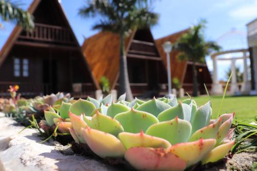 Фотографии мини отеля 
            Pousada Viva - São Thomé das Letras