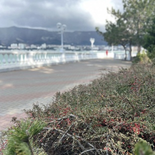 Фотография квартиры Квартира 2ка Недалеко от Моря