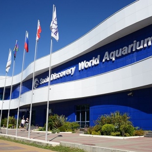 Фотография достопримечательности Адлерский океанариум