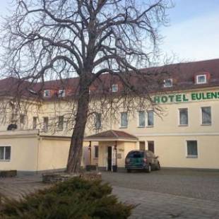 Фотографии гостиницы 
            Hotel Eulenspiegel