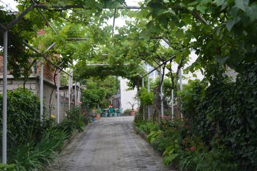 Фотография мини отеля Guesthouse Giorgi