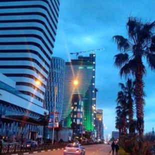 Фотография гостиницы Twin Towers Batumi