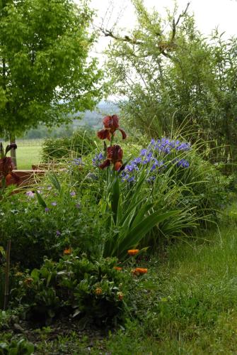 Фотография мини отеля Chambres d'hôte de Laudun