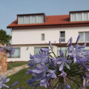 Фотография мини отеля La Casuca de Mamina