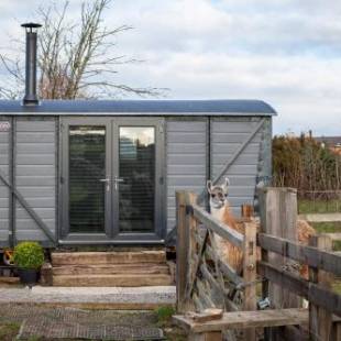 Фотографии базы отдыха 
            Skipbridge Farm Glamping
