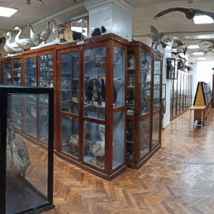 Фотография музея Музей ННГУ им. Н.И. Лобачевского