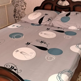 Фотография квартиры Апартаменты на проспекте Строителей