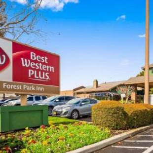 Фотографии гостиницы
Best Western Plus Forest Park Inn