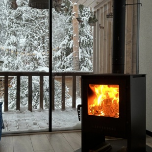 Фотография Коттеджа Частный дом у озера с террасой Сосновый дом