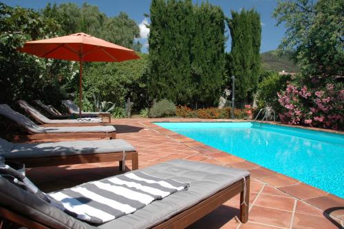 Фотография мини отеля Le Vieux Logis Chambres d'Hôtes