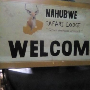 Фотография базы отдыха Nahubwe Safari Lodge