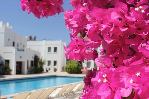 Фотография гостиницы Seckin Konaklar