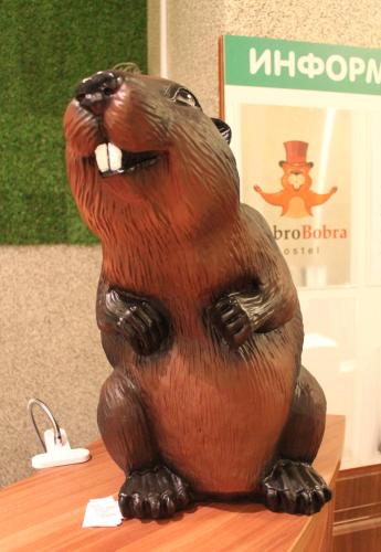Фотография хостела ДоброБобра
