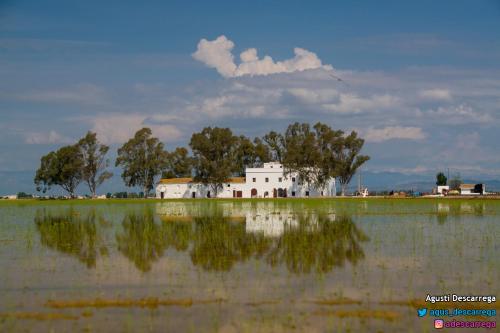 Фотографии гостевого дома
Mas Illa de Riu