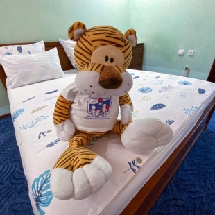 Фотография квартиры Квартира Яркая на Зорге