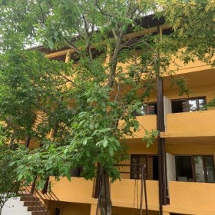 Фотография гостевого дома Элени