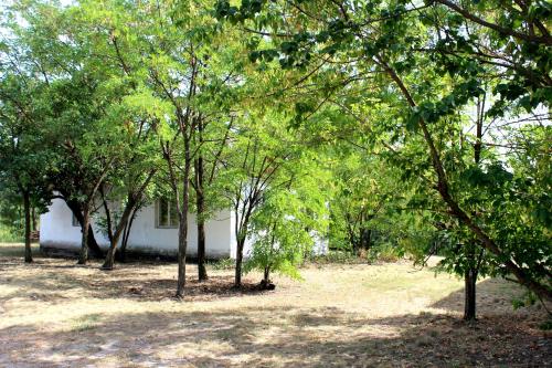 Фотография гостевого дома Лесная рыболовно-охотничья заимка