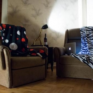 Фотография хостела Dingo Backpackers