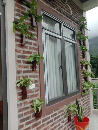 Фотографии кемпинга
Mộc Nhiên Homstay Mai Chau