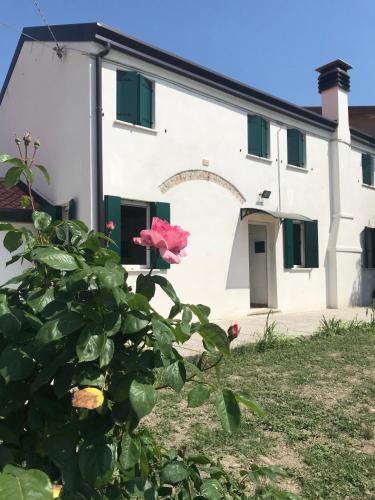 Фотография гостевого дома Adria bnb