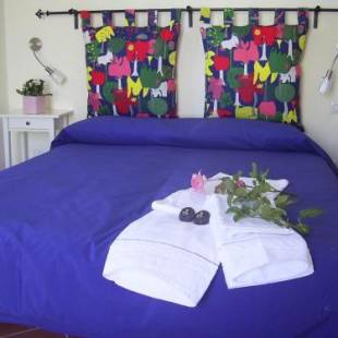 Фотографии мини отеля
Casa Falcone B&B