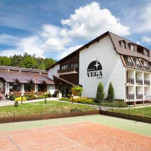 Фотографии гостиницы
Hotel Vega Luhacovice