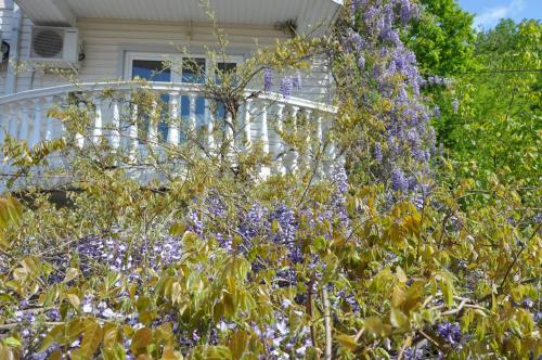 Фотография гостевого дома Мармари