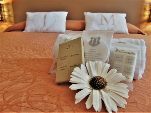 Фотографии мини отеля
Jadore Monic