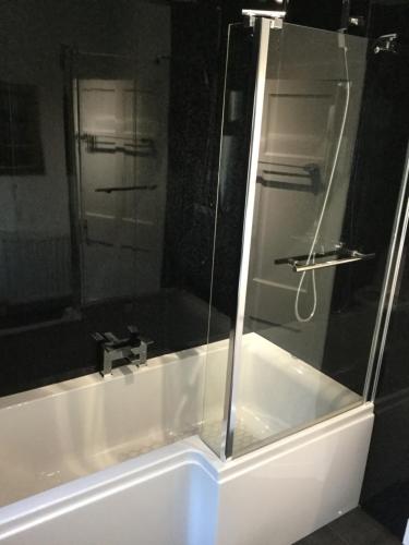 Фотография гостевого дома In House Garden Flat