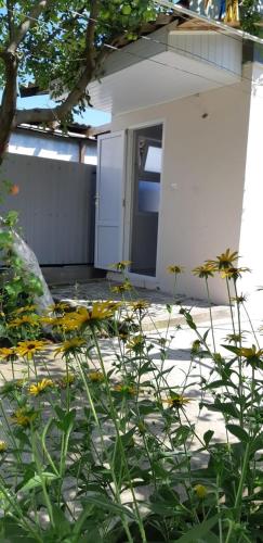 Фотография гостевого дома У Ирины