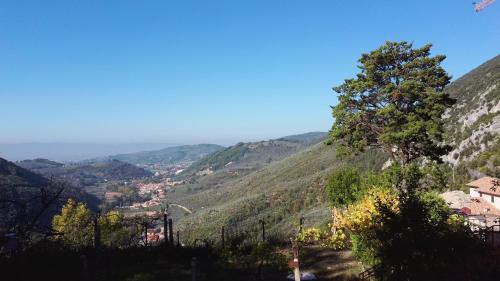 Фотография гостевого дома Casa vacanze I PINI E IL CILIEGIO