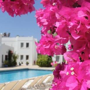 Фотографии гостиницы 
            Seckin Konaklar