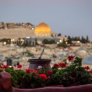 Фотография гостиницы Hashimi Hotel