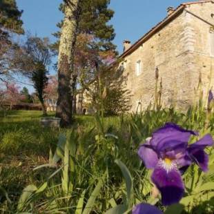 Фотографии гостевого дома
Mas de la Chadenede