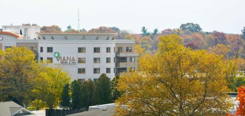 Фотография гостиницы Viana Hotel and Spa, Trademark Collection by Wyndham