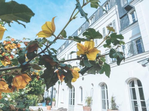 Фотография гостевого дома Les Tilleuls Etretat