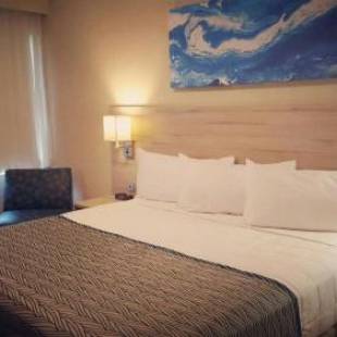 Фотография гостиницы Punta Borinquen Resort