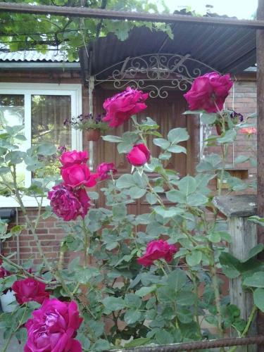 Фотография хостела Тёплый